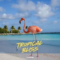 Aruba Quotes Captions