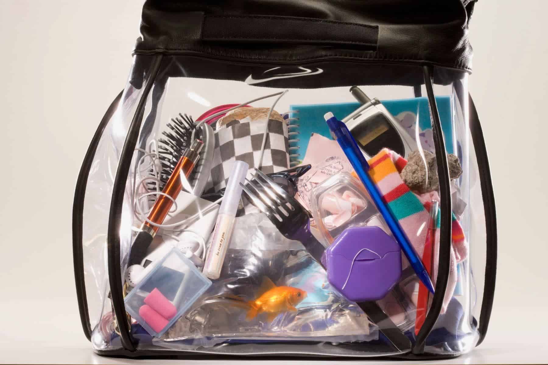 Clear Travel Bag Makeup On A Plane