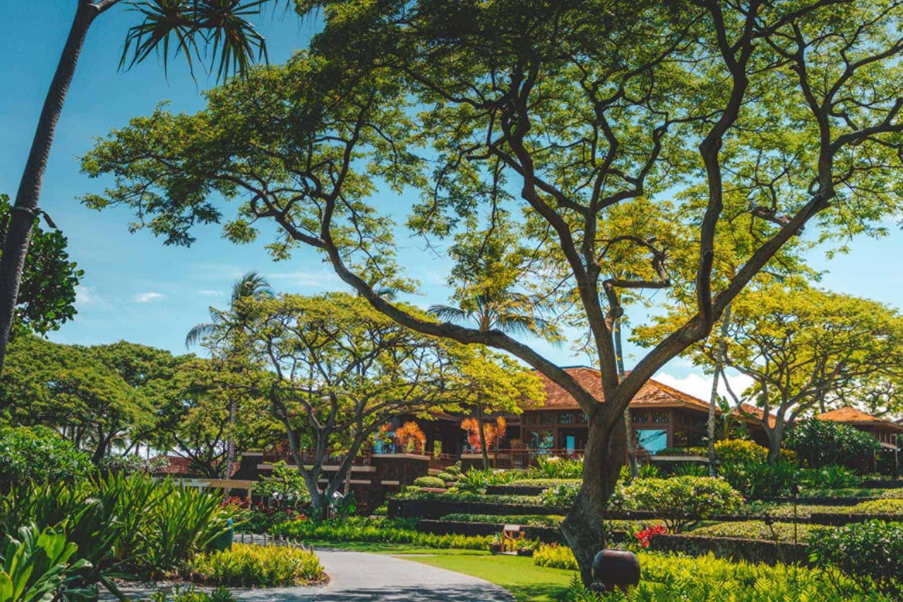 four-seasons-resort-hualalai-trees