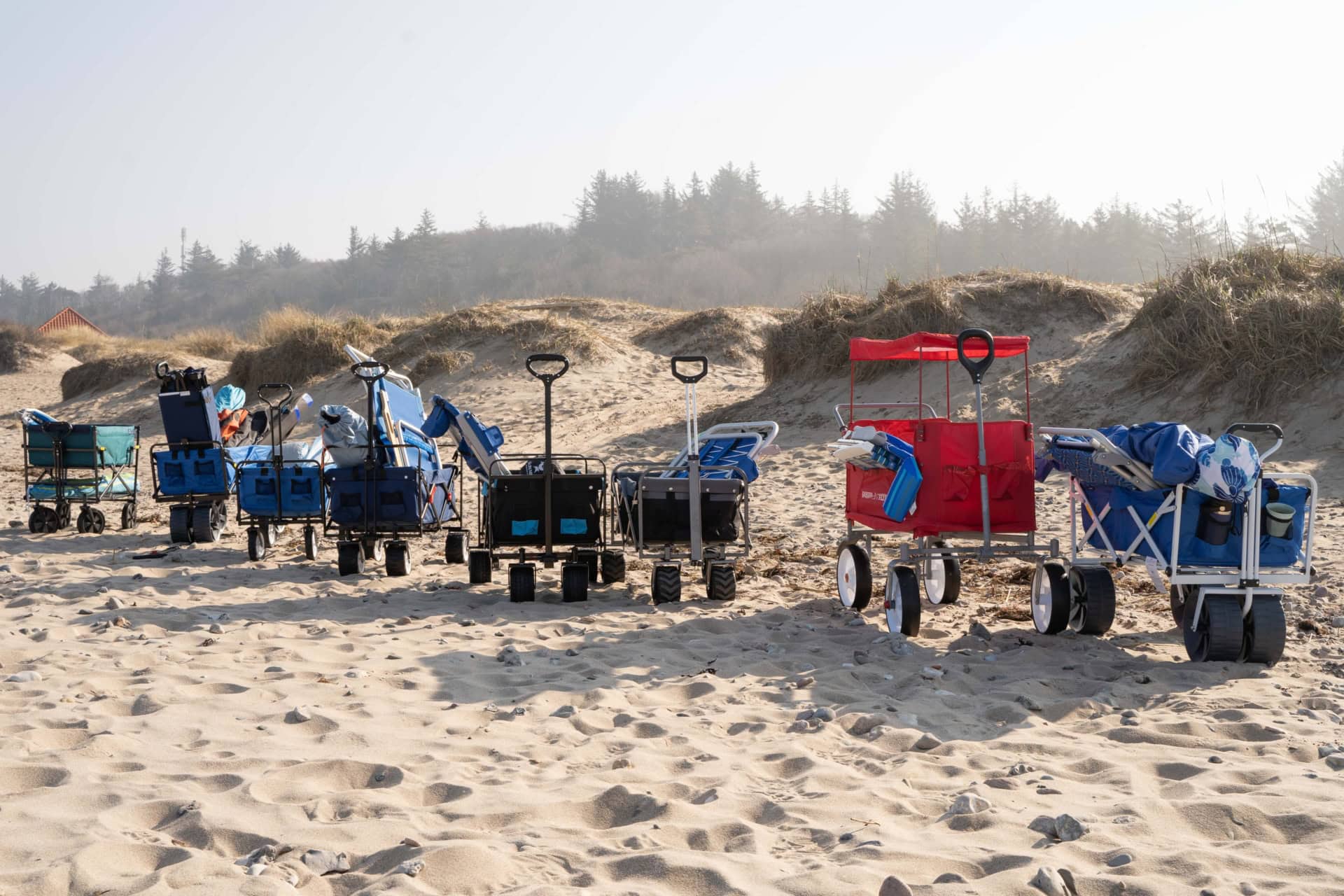 beach wagon brands line up on beach