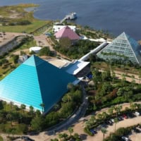 Moody Gardens Hotel, Spa and Convention Center