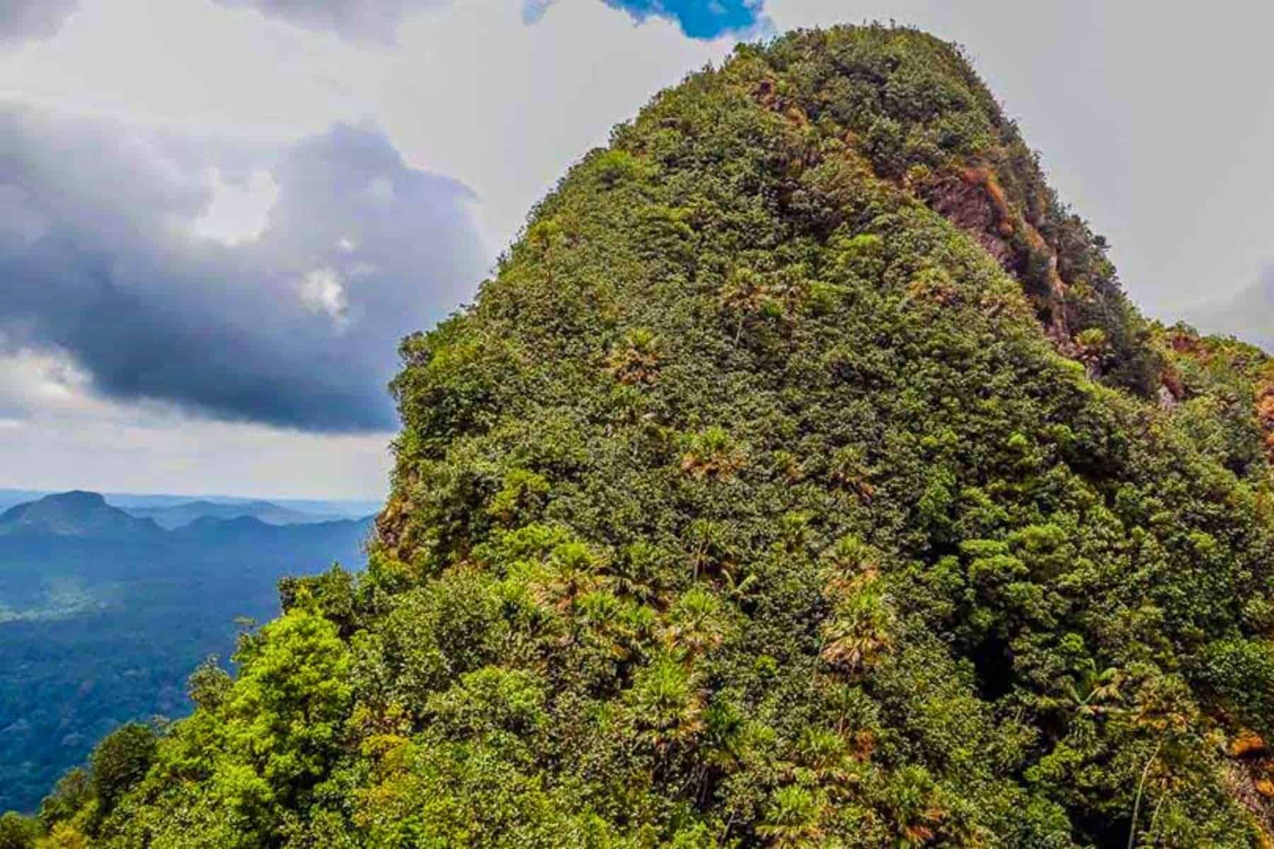 Most Beautiful Places In Belize Victoria Peak