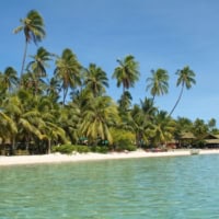 Musket Cove, Malolo Lailai