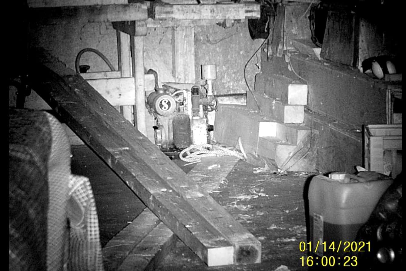 Night Vision Binoculars: Sigweis