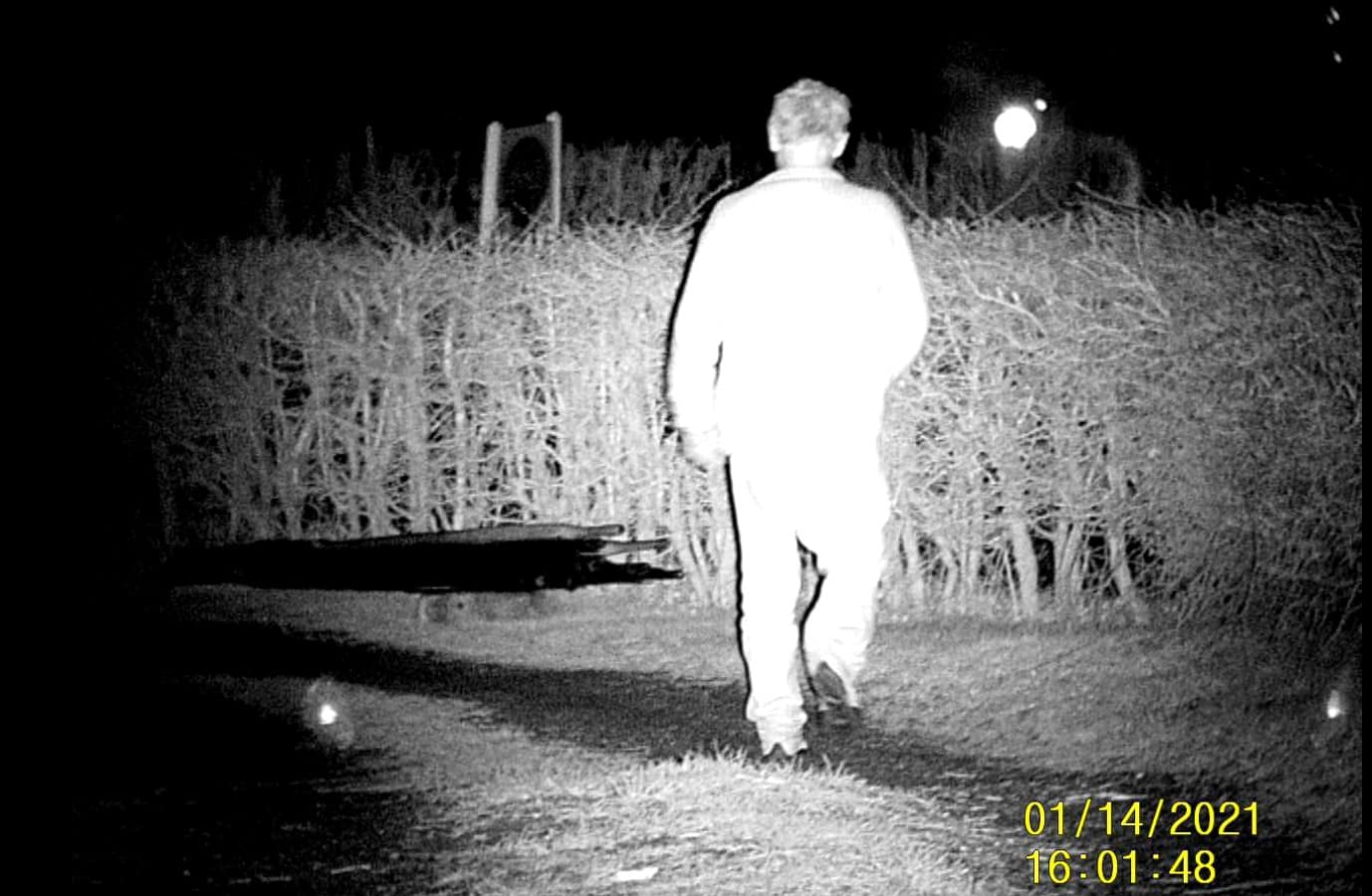 night-vision-surveillance