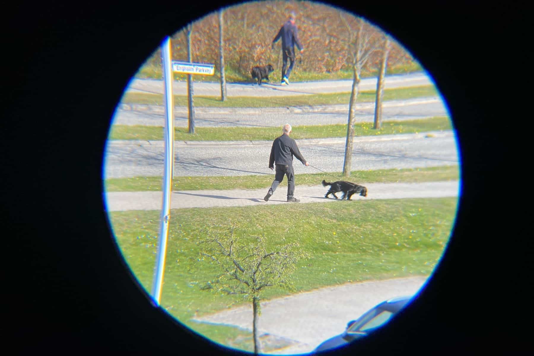 occer-12-25-compact-view