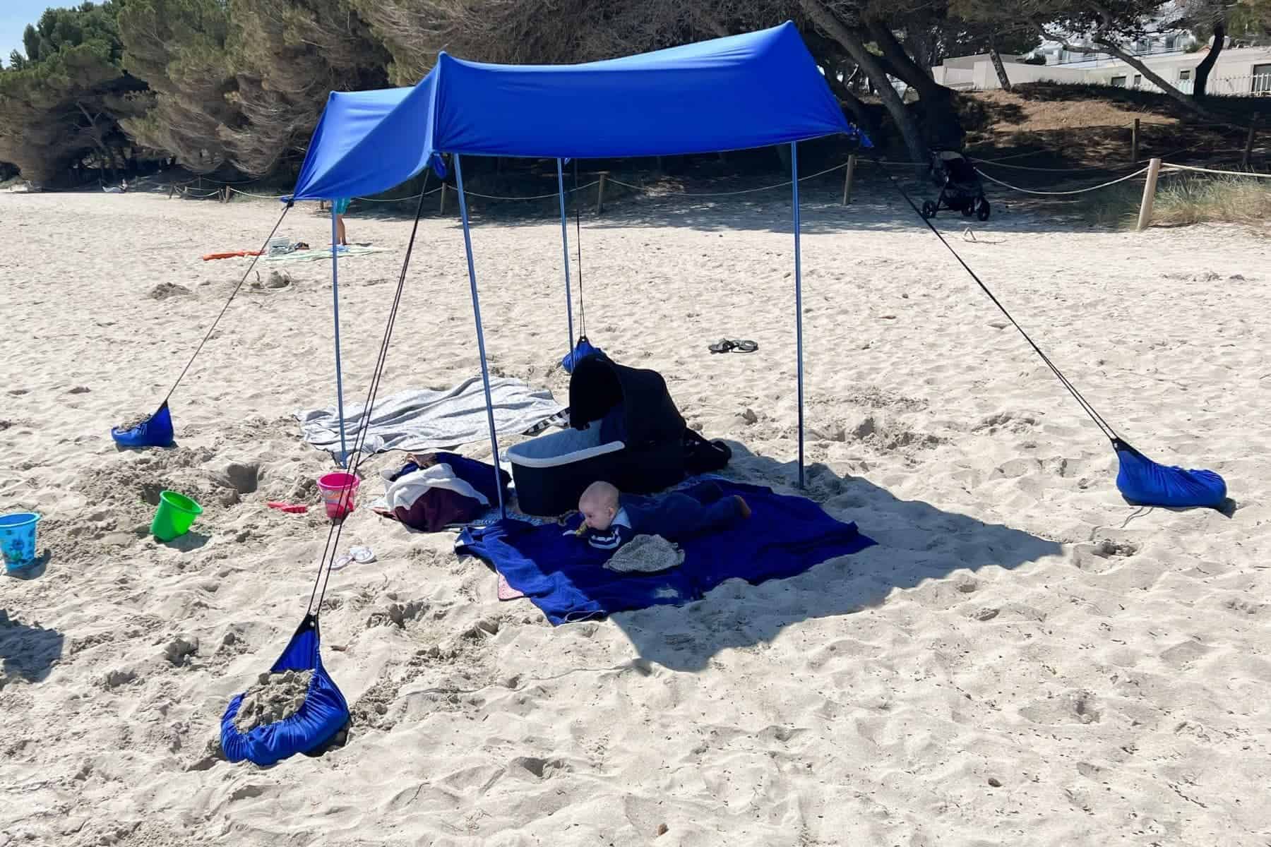 Red Suricata Beach With Baby Underneath