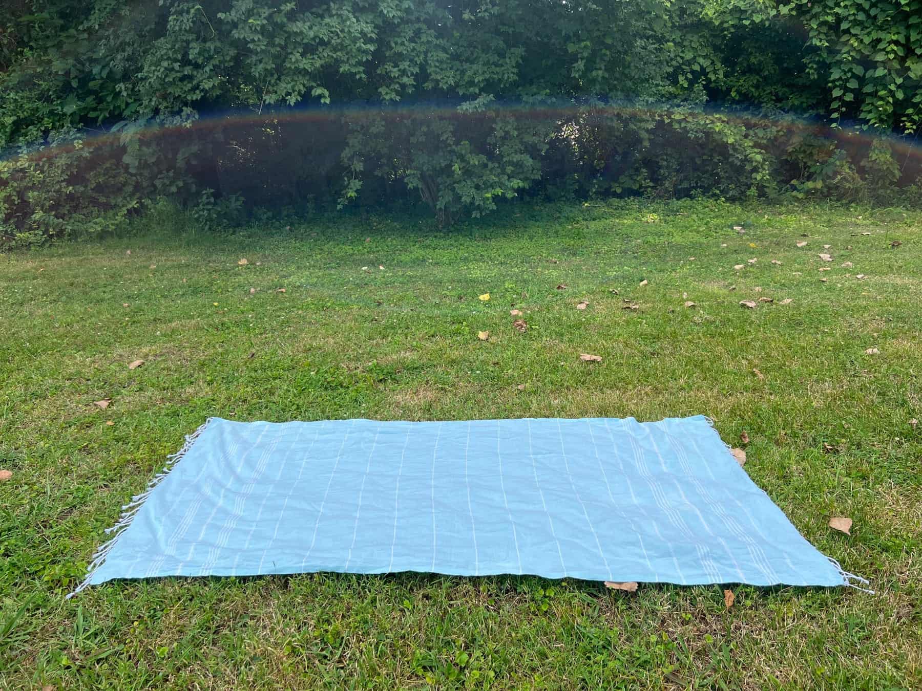 Wetcat Towel On Grass Panoramic